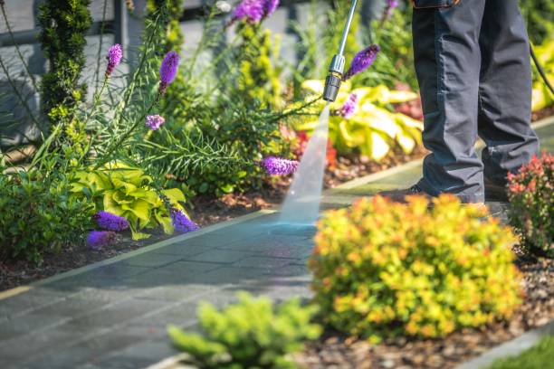Best Winterizing Services  in Brookings, OR