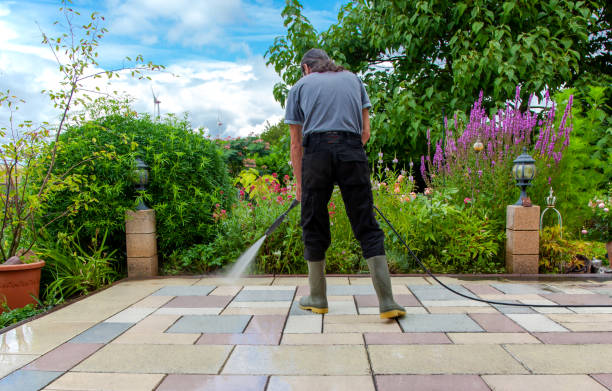 Best Fence Cleaning  in Brookings, OR